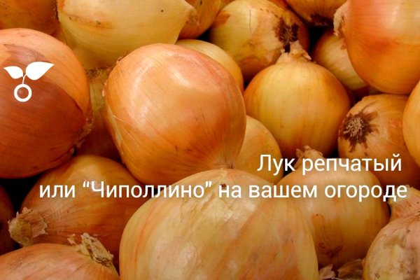 Кракен даркнет тг