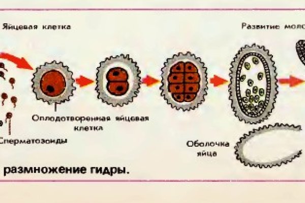 Кракен зеркало на тор