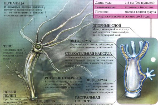 Кракен даркнет только через тор скачать