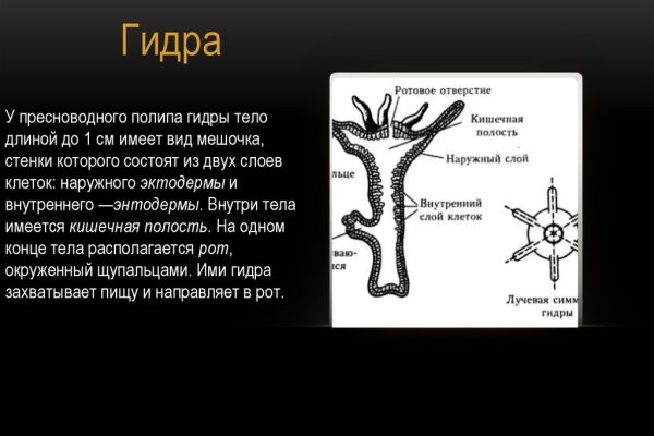 Не могу зайти в аккаунт кракен