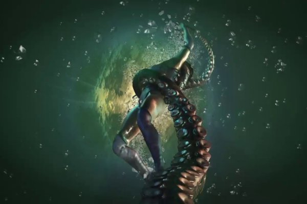 Как найти kraken