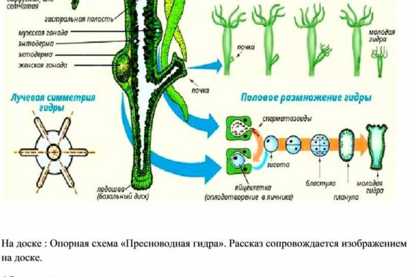 Kraken istand onion ссылка