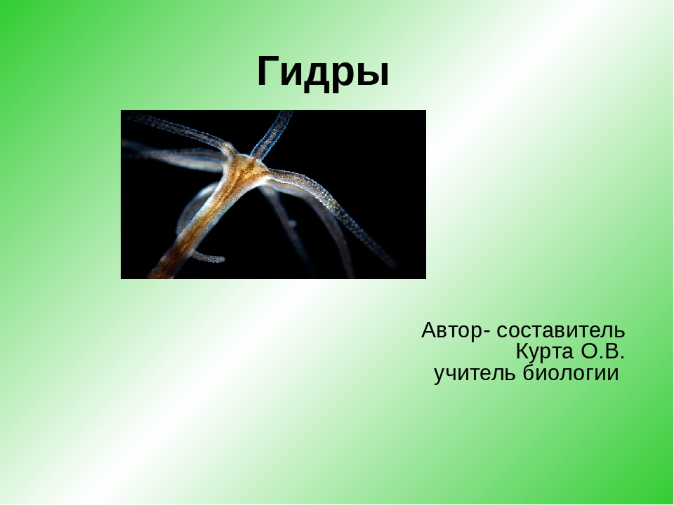Скрытый интернет как войти